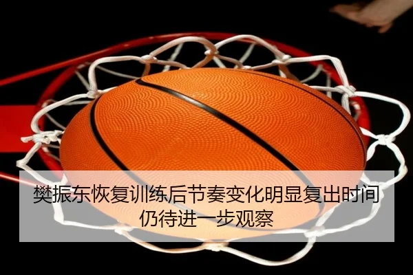 樊振东恢复训练后节奏变化明显复出时间仍待进一步观察